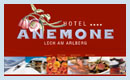 Hotel Anemone